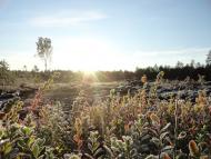 Градиськ з panoramio.com