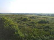 Юнаківка з panoramio.com