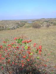 Завтурове з panoramio.com