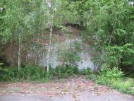 Рижів з panoramio.com