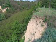 Великі Дмитровичі з panoramio.com