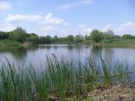 Карапиші з panoramio.com