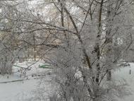 Зеленівка з panoramio.com