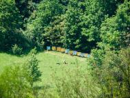 Грушківка з panoramio.com