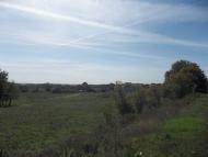 Вільнокур'янівське з panoramio.com