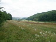 Тростянець з panoramio.com