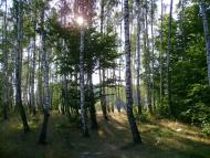 Бейзимівка з panoramio.com