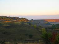 Рожаївка з panoramio.com