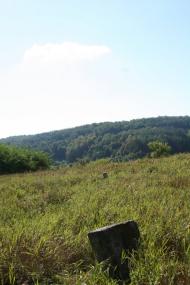 Трощин з panoramio.com