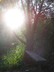 Зелений Яр - Останні фото