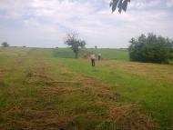 Квіткове з panoramio.com