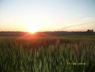 Те, що для мене близьке)