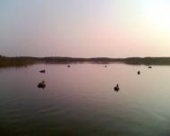 Придорожнє з panoramio.com