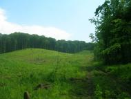 Володимирівка - Останні фото