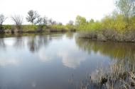 Єлизаветівка з panoramio.com