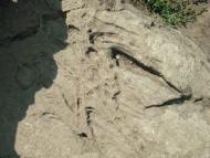 Коржова з panoramio.com