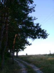 Бейзимівка з panoramio.com