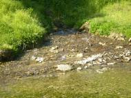 Татарбунари з panoramio.com