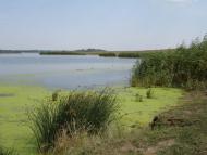 Дніпровка з panoramio.com