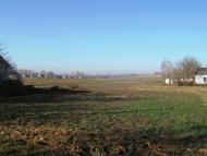 Михнів з panoramio.com