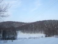 Нова Скварява - Останні фото