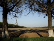 Музичі з panoramio.com