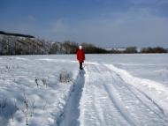 Старобільськ з panoramio.com - Старобільськ