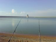 Жайворонки з panoramio.com