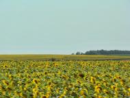 Баландине з panoramio.com