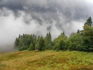 Явора з panoramio.com