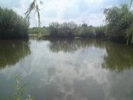 Кураж з panoramio.com