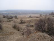 Riznykivka - Latest photos