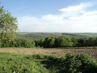 Виноградне з panoramio.com