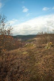 Верхньосадове з panoramio.com