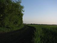 Цвітні Піски - Останні фото