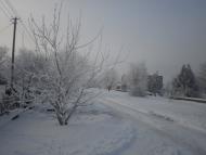 Федорівка з panoramio.com