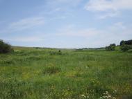 Гонтов Яр - Последние фото