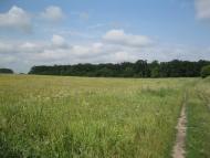 Матюші з panoramio.com