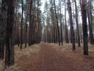 Куліші з panoramio.com