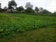 Корнів з panoramio.com