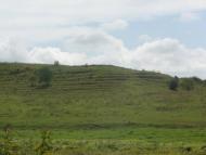 Чижівка з panoramio.com