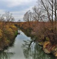 Липиці з panoramio.com