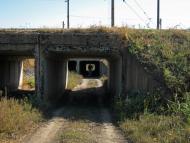 Новопілля з panoramio.com