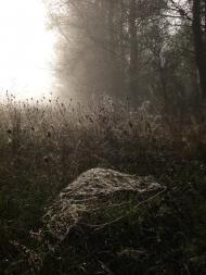 Шабельники з panoramio.com