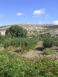 Пироговка з panoramio.com