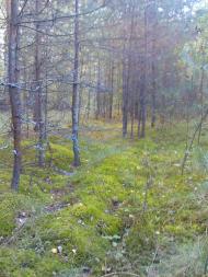 Гукове з panoramio.com