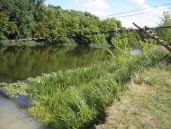 Дворічне з panoramio.com