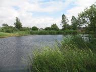 Переспа з panoramio.com