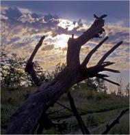 Дніпровка з panoramio.com