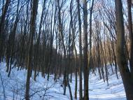 Малі Проходи з panoramio.com